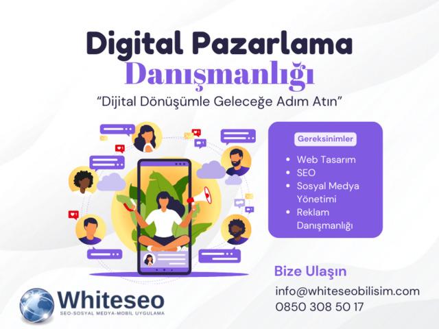 web tasarımı